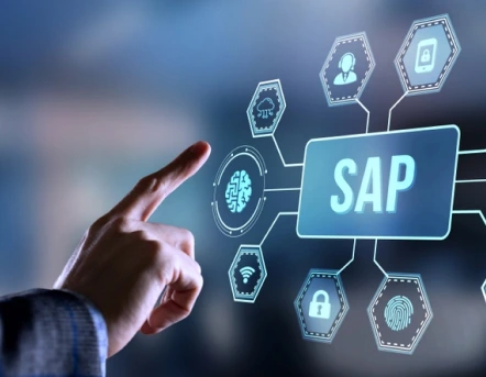SAP Cloud ERP Consultant